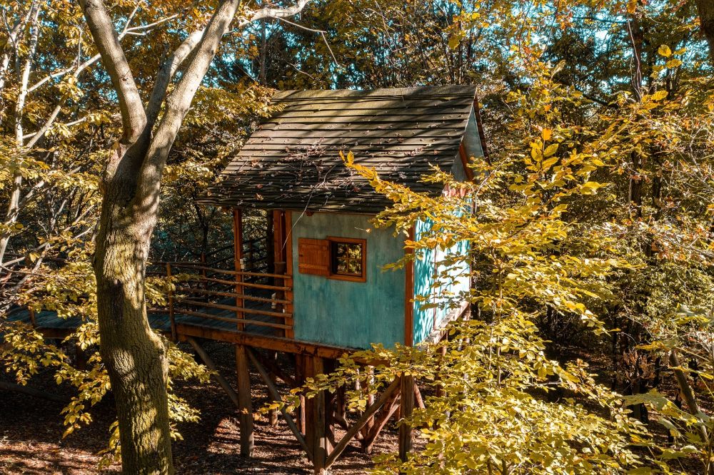 B&B Il Giardino dei semplici - Case sugli alberi - La casa sull'albero (Manta - Cuneo)