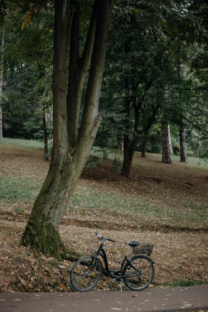 Biciclette per esplorare i dintorni di Manta (Cuneo)